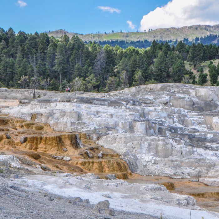 Yellowstone