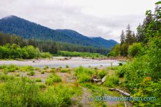 Olympic National Park photo of Hoh River